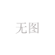 常年出售北海道黄杨带土发货1.8-2-2.5米北海道黄杨