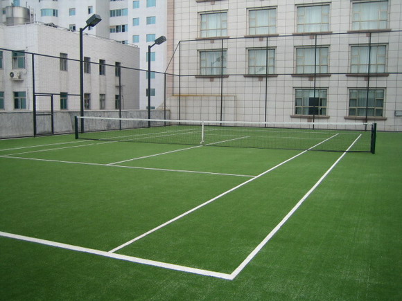 网球场足球场专用草坪