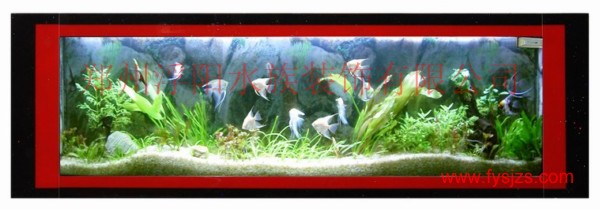 ̬ڹˮ ˮڻ ˮ廭 ڹˮ廭ͼƬ