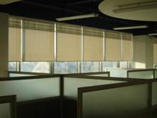 �����칫����