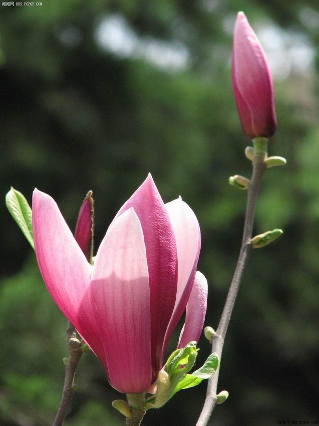 ��Ӧ�������ӣ�����������������5�֣�������������