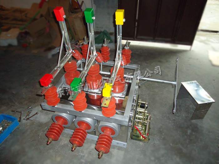 ZW10-12G/630-20˫Դտ,ZW10ն·