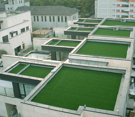 �ൺ����������ƺ �����ƺ�۸� ���������ƺ��װ