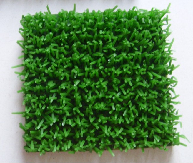 ̺̽Խ̺βɰճ̺ɳճ̺ճ̺