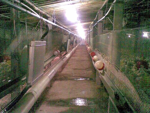 ֳ¯ʡúֳ¯ֳ¯ͼƬ