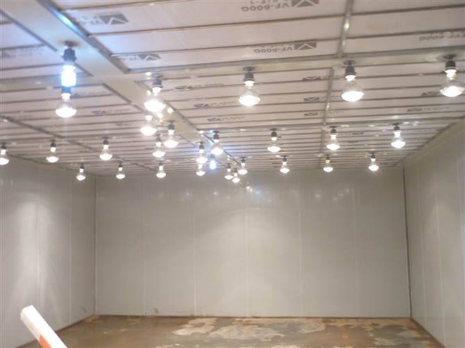 ľ翾᷿-ൺη᷿豸