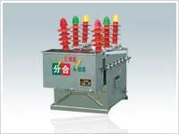 ZW8-12 ZW8-12Gֽ翪  Ԥͻն·