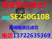 ���¸�SE250G10BҺѹ��о