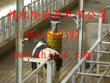 ȫ�Զ�ţ��ˢ,ȫ�Զ�ţ��ˢ,ȫ�Զ�ţ��ˢ,ȫ�Զ�ţ��ˢ