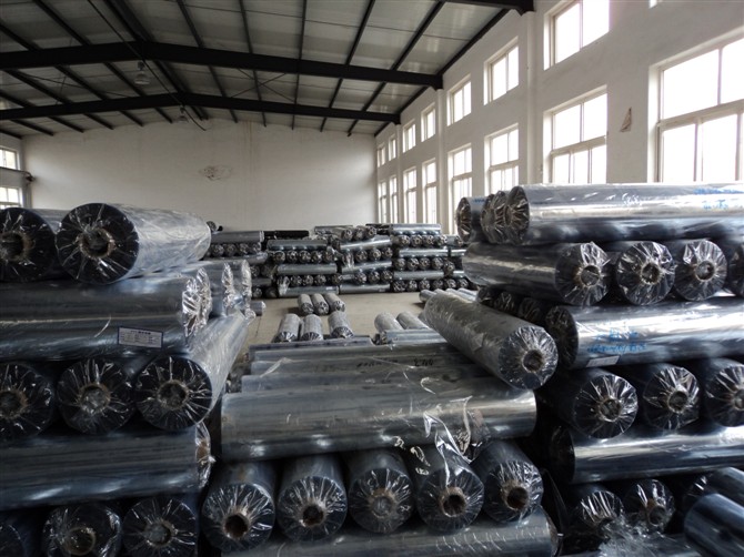 ��ʢ�Ұ�װĤ