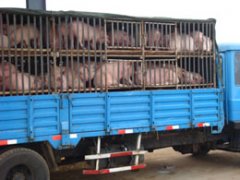 ��ɽ������