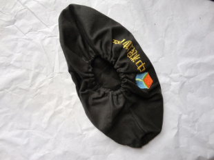 Ӧ Զǿ  2012¿޵޲Ь