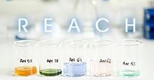 REACH֤REACH⡢REACH桢REACH