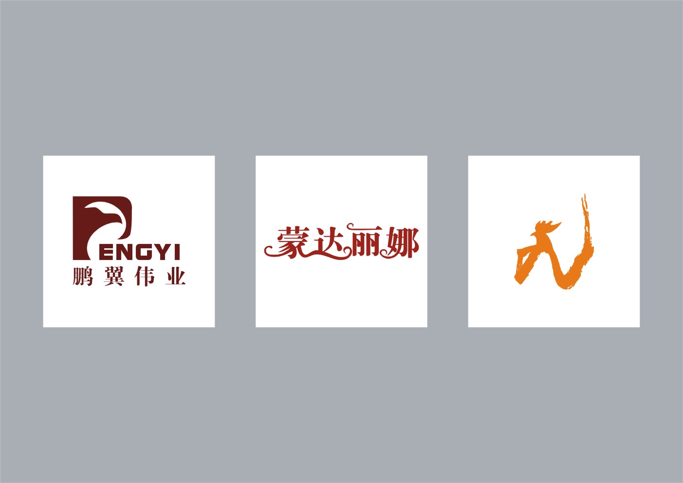新疆标志包装商标vi设计印刷广告策划公司 - 新