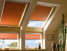 ����������Ҷ����/��Ҷ����ʲô���ϵ�