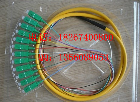 SC/APC12о״βˡSC/UPC12о״βˡͷ12о״βˡβ