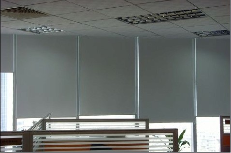 ��������������������������Ҷ����