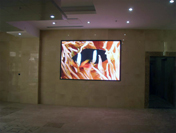 ӰԺledʾӰԺP6ledȫ