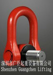 ¬ɭCODIPRO DSSתLifting Swivel Point