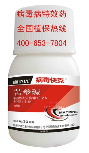 һƹ˪ùҩ Ч˪ùɱ ר߲˪ù