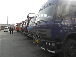 ���ݵ��ɶ���������������������ר��