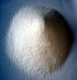 о۱ϩҶڲͬˮʵˮ֢ҩ