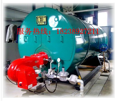 CWNS4֣Ķʽȼȼˮ¯۸ǿƼͼƬ