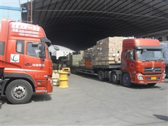 ���ݵ������麣����ï������ר��