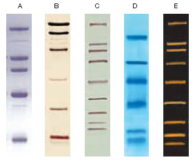 GKE C-S-BDS-SV1211-112ͼƬ