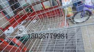 ȫ¸Զʳ ԶϺ Զʳ ʳ ʳ ˫ʳͼƬ