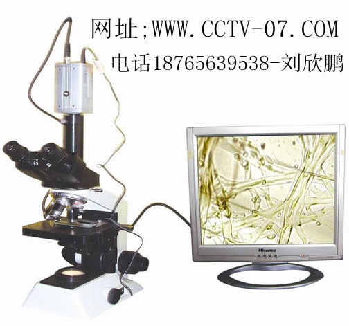 ֲﲡ溦豸ֲﲡ溦ǡֲﲡ溦