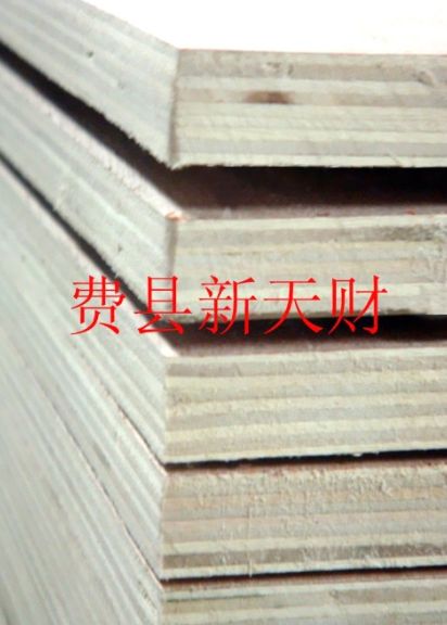 ʽҾCARB P2 壬ȫľľͼƬ