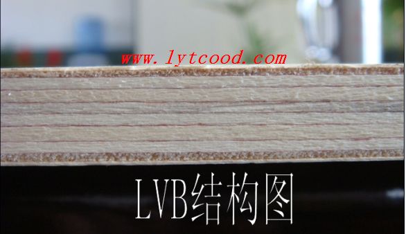 ɫCARB P2 LVB˳ʽҾ߰ ͼƬ