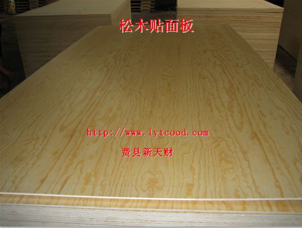 ƹӦȩCARB E0а,ʽҾýϰͼƬ