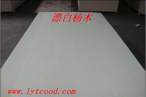 ȫľʽҾýϰ壨ͨCARB P2֤ͼƬ