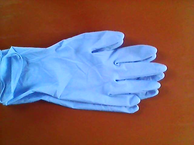 供应一次性蓝色熏衣草乳胶手套--兴化市高鸿防