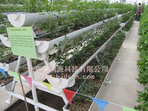 供应无土栽培管式基质栽培设备 - 北京德润源科